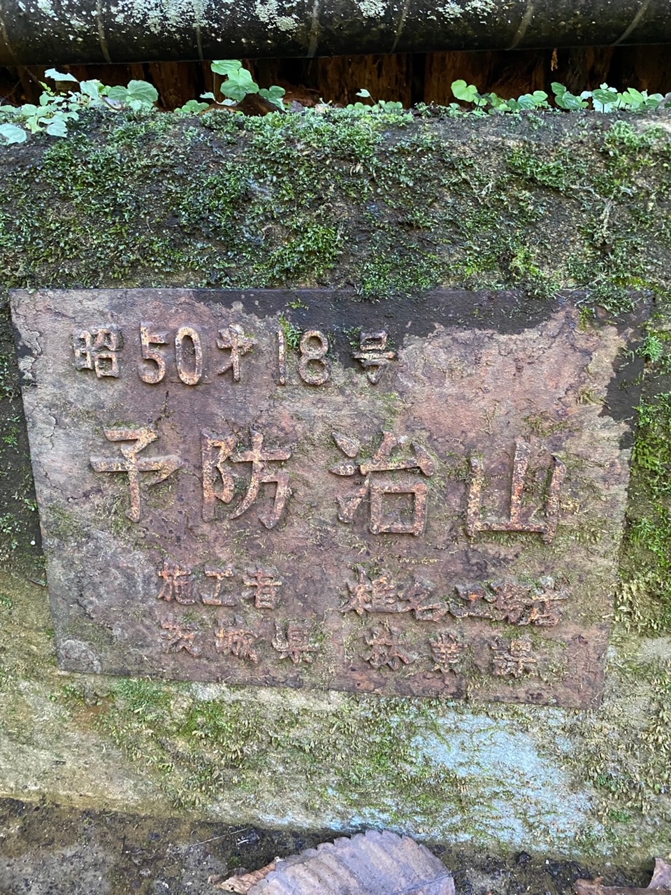 袋田の滝 観瀑台デッキ 完成全景